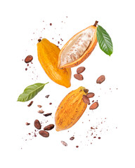 Yellow cocoa fruit, cacao beans with cocoa nibs and chocolate powder flying in the air isolated on...