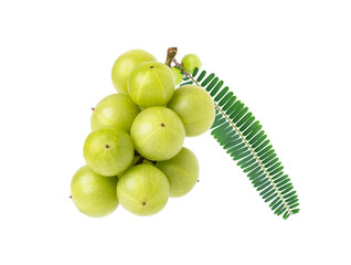 Bunch of indian gooseberry fruit or Amla (phyllanthus emblica) with green leaf isolated on white background.
