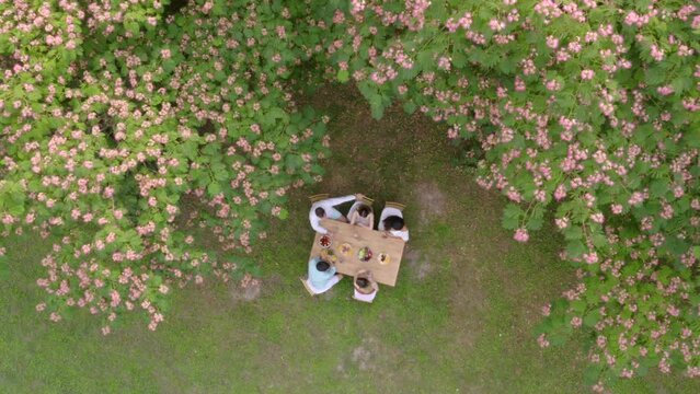 Mavic Viko Stock Clip 1