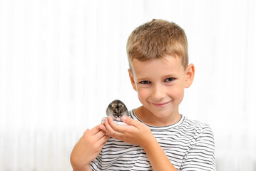 boy holding a hamster, close-up