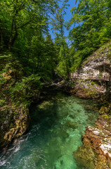 Beautiful view of the turquoise transparent stream water in Vintgar Gorge near Lake Bled in summer, Upper Carniola, Slovenia - 520185407