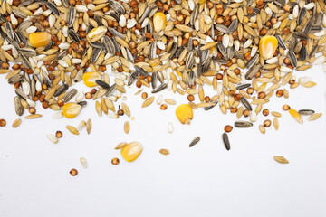 shallow depth of field bird seed on a white background