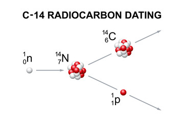 Radiocarbon dating, known as carbon or C-14 dating. A method of determining the age of an object containing organic material, by using the properties of radiocarbon, a radioactive isotope of carbon. - obrazy, fototapety, plakaty