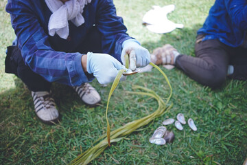 Fototapeta na wymiar 伝統的な手法で作られる宮古上布の原材料 沖縄県の離島宮古島に自生する植物苧麻から繊維をとる