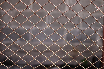Fototapeta premium Wire mesh fence