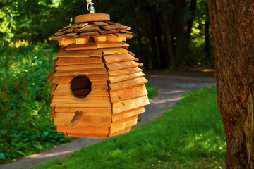 wooden birdhouse in the green park