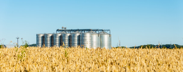 Grain storage silos system,golden wheat field under a summer blue clear sky.Banner,advertisement,promotion. © ARVD73