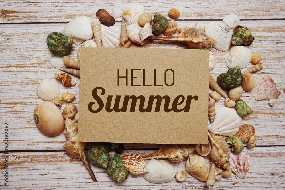 Poster hello summer text message decoration with seashell on wooden background