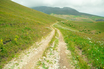 Ground road in nature. Armenia. Summer