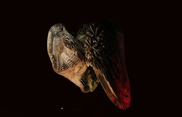 3d naturalism 