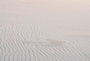 Fototapeta na wymiar texture of wavy white sand on the beach