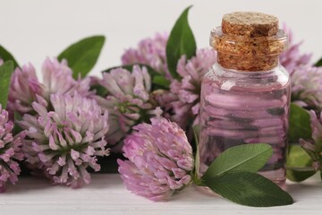 Beautiful clover flowers and essential oil on white table, closeup