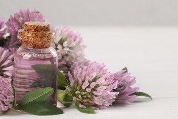 Beautiful clover flowers and essential oil on white table, closeup. Space for text