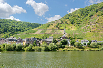 Obraz premium The village Bremm at the Moselle river