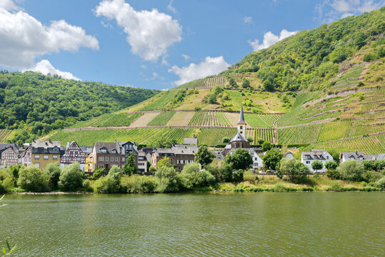 The village Bremm at the Moselle river