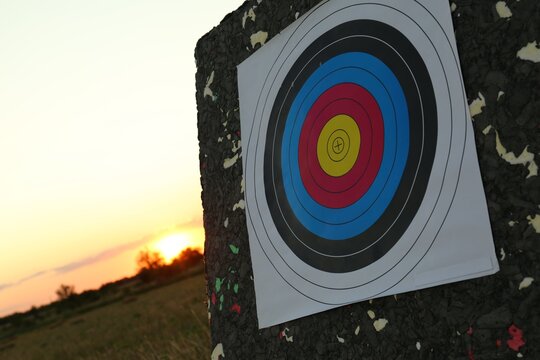 Archery Target In Field At Sunset, Closeup