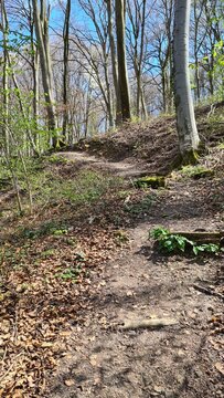 Hiking Trail 