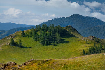 Russia. South of Western Siberia, Mountain Altai.  Picturesque hilly mountains covered with a solid green carpet with many alpine flowers near the village of Ust-Kan.