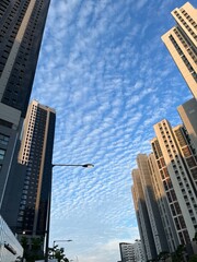 Sky between skyscrapers in the city