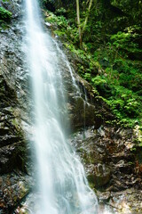 東京の払沢の滝