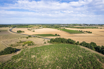 Photographie aérienne de champs de culture agricole de blé en France avec des rangs de vigne en premier plan.