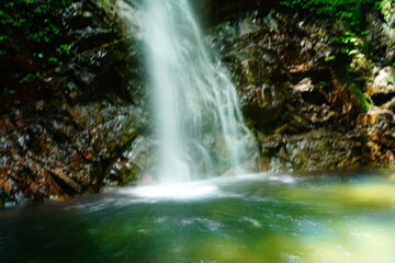 Fototapeta premium 東京の払沢の滝