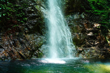 東京の払沢の滝