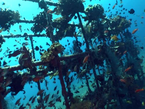 Artificial reef in Coral Garden, Tulamben, Bali