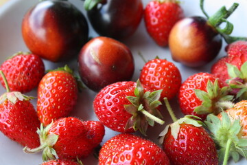 Nahaufnahme von reifen Erdbeeren