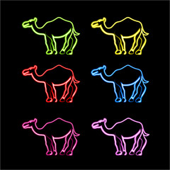 Set of camels of different colors with neon effect.