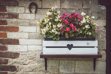 Decorative flower pot on a stone wall