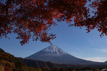 紅葉