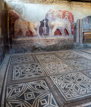 POMPEII, ITALY - MAY 04, 2022 - A beautifully excavated mosaic floor with geometric forms and a wall fresco with big animals in a Pompeian villa, Italy