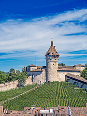 View of Schaffhausen and the castle