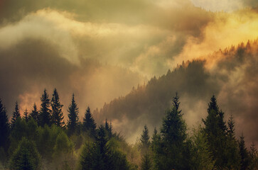 Misty mountain landscape