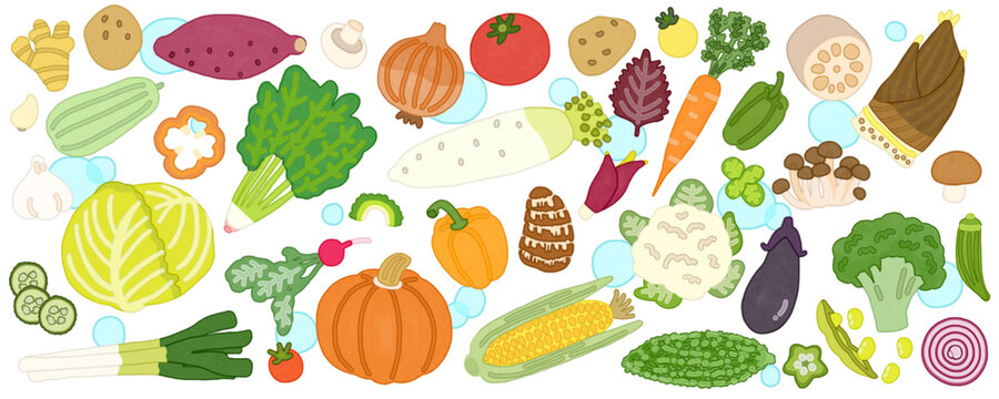 様々なみずみずしい野菜の背景　バナー　装飾　水彩画
