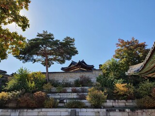 고궁의 담 벼락