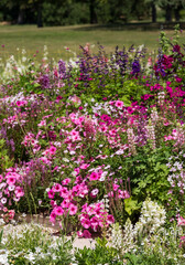 The stunning garden at Chateau de Chaumont in the Loire Valley, France, with a wide array of pink flowers. Photographed in the heatwave in summer 2022.