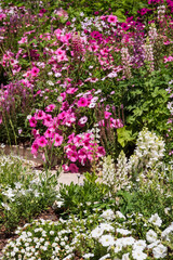 The stunning garden at Chateau de Chaumont in the Loire Valley, France, with a wide array of pink flowers. Photographed in the heatwave in summer 2022.