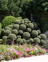 The stunning garden at Chateau de Chaumont in the Loire Valley, France, with a wide array of pink flowers. Photographed in the heatwave in summer 2022.