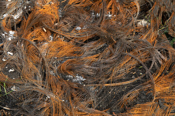 Stack of Old rusty metal wire on the dump