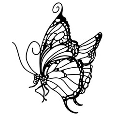 Graphic black and white linear drawing of a butterfly. Isolated illustration in the form of a silhouette of a flying moth. To cut and create a mask.