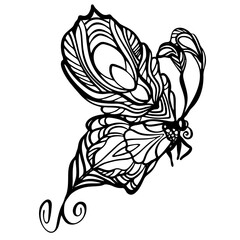 Graphic black and white linear drawing of a butterfly. Isolated illustration in the form of a silhouette of a flying moth. To cut and create a mask.