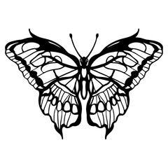 Graphic black and white linear drawing of a butterfly. Isolated illustration in the form of a silhouette of a flying moth. To cut and create a mask.