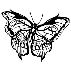 Graphic black and white linear drawing of a butterfly. Isolated illustration in the form of a silhouette of a flying moth. To cut and create a mask.
