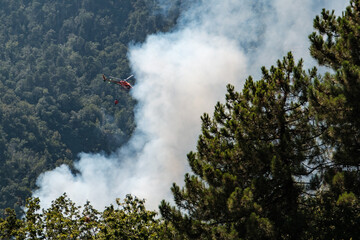 Hélicoptère pompier chargé d'une réserve d'eau intervenant sur le lieu d'un incendie de forêt - obrazy, fototapety, plakaty