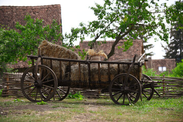 Fototapeta na wymiar old cart with hay