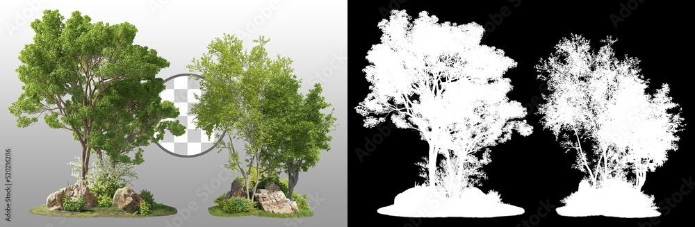 Wall mural group of trees among the rocks. cutout trees isolated on transparent background via an alpha channel
