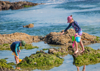 kids walking on the beach