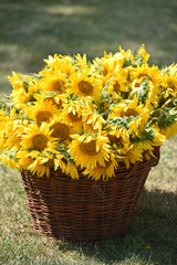 bouquet of yellow flowers in basket
